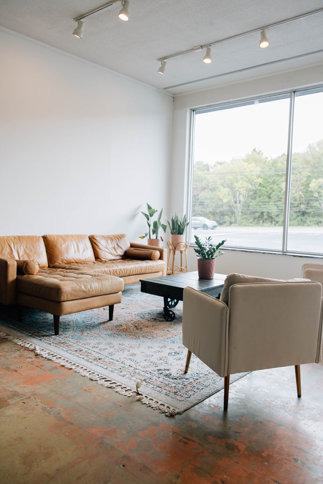 Tan leather sofa with plants and a large window