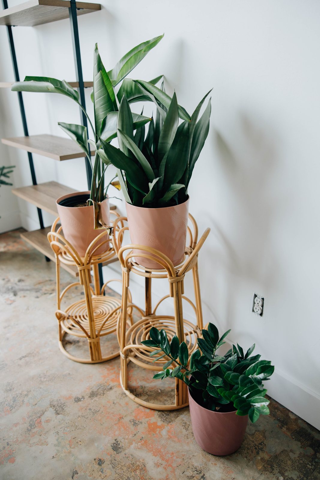 Plants on rattan stands beside metal shelving